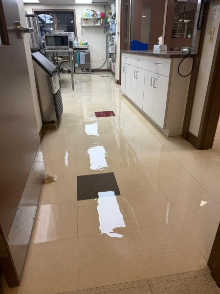 Floor Stripping and Waxing in Annandale, VA (1)