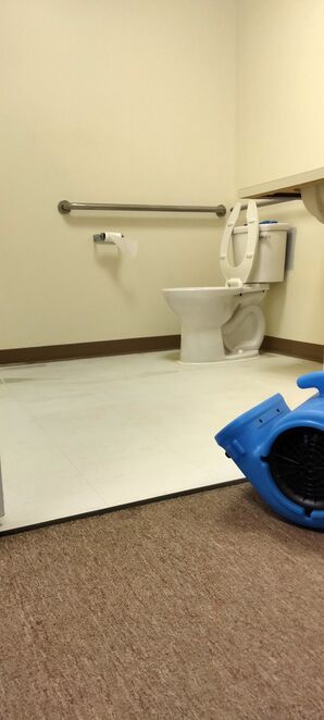 Commercial Floor Cleaning in Springfield, VA (4)